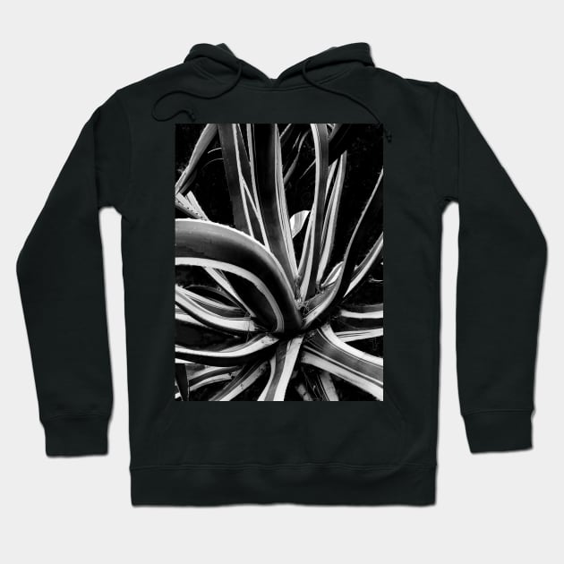 Agave Hoodie by PhotoT